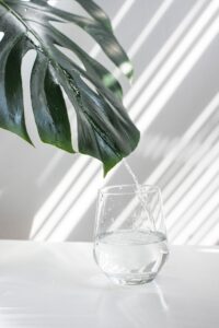 Glass of water on a white table in a white room with a green leaf